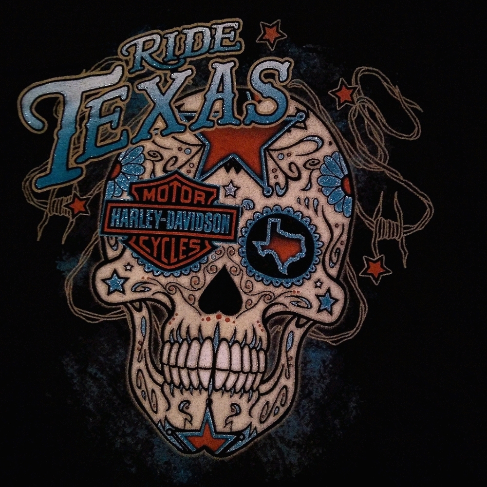 HARLEY DAVIDSON SKULL FITTED T SHIRT MD